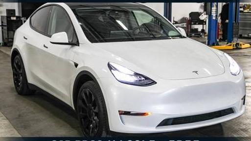 TESLA MODEL Y 2021 5YJYGDED8MF124221 image